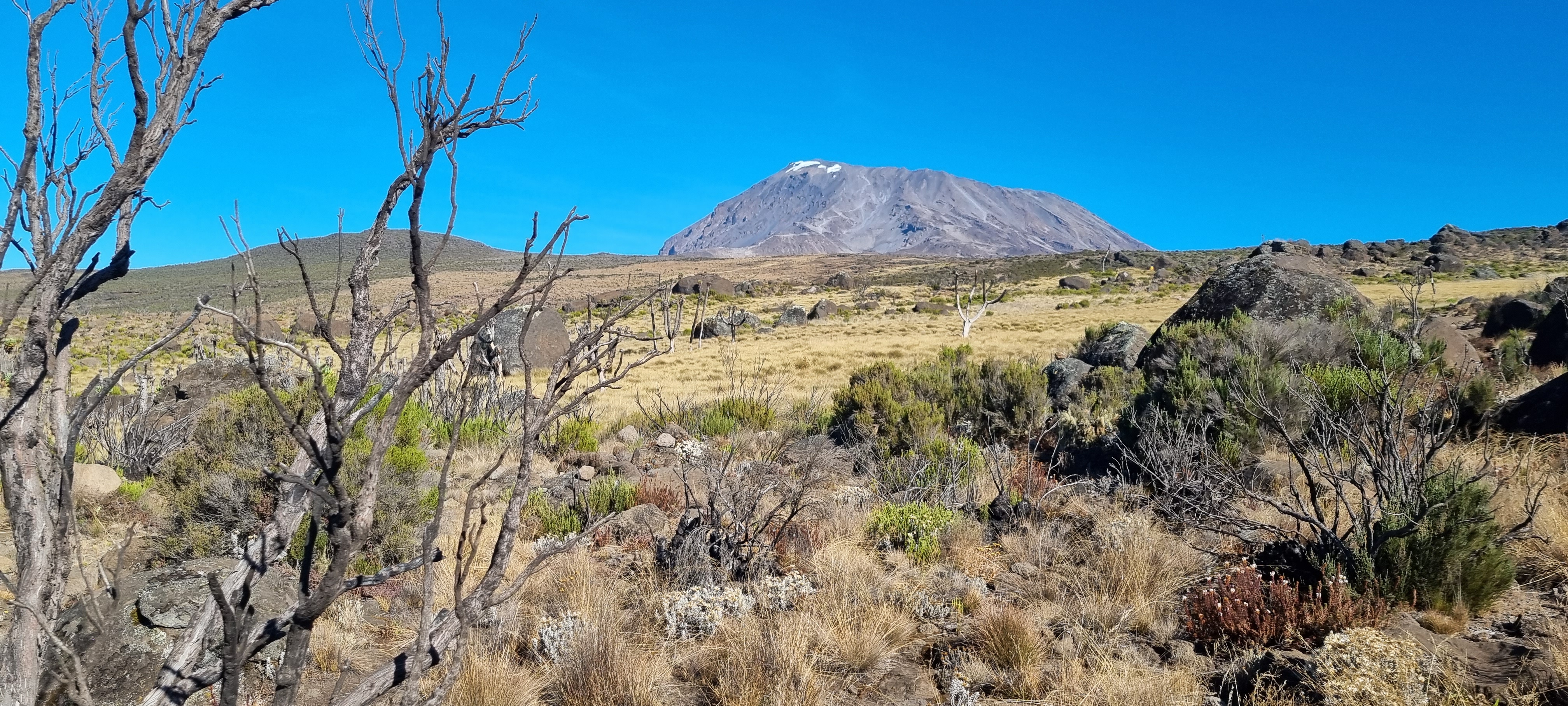 Mount Kilimanjaro - Complete Travel Information