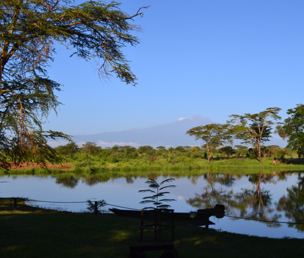 Kilimanjaro rainforest trail