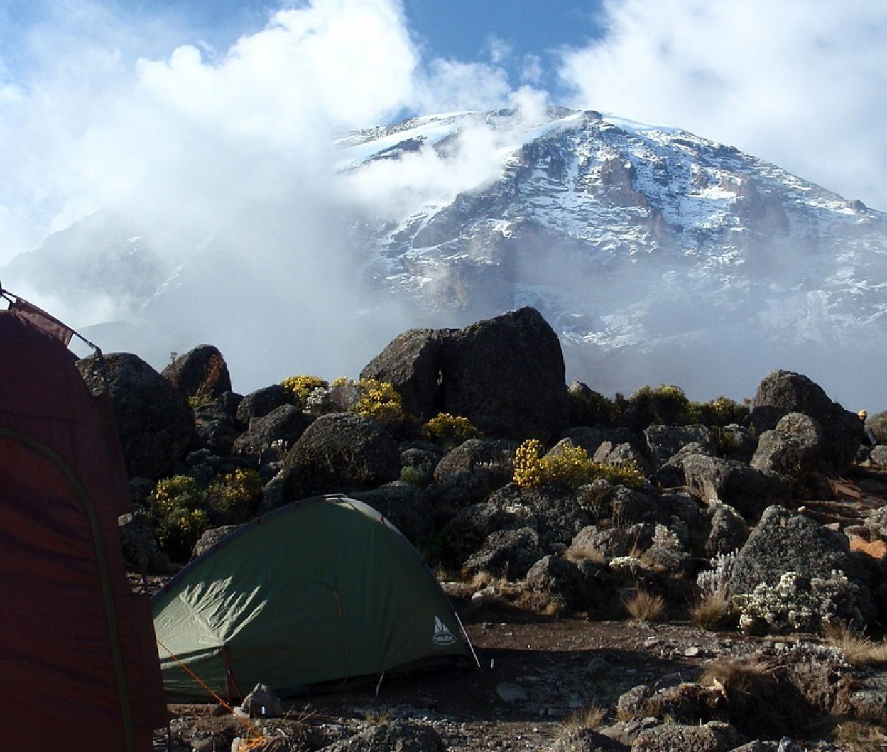 Kilimanjaro alpine zone